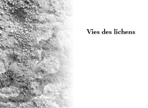 Extrait du livre Aurores des lichens de Gérard Freitag, Genre : poésie. Photographie : Olivier Klencklen. Éditions du Tourneciel. Maquette : naissancedelencre.eu