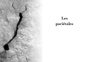 Extrait du livre Aurores des lichens de Gérard Freitag, Genre : poésie. Photographie : Olivier Klencklen. Éditions du Tourneciel. Maquette : naissancedelencre.eu