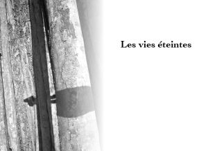 Extrait du livre Aurores des lichens de Gérard Freitag, Genre : poésie. Photographie : Olivier Klencklen. Éditions du Tourneciel. Maquette : naissancedelencre.eu