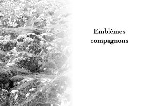 Extrait du livre Aurores des lichens de Gérard Freitag, Genre : poésie. Photographie : Olivier Klencklen. Éditions du Tourneciel. Maquette : naissancedelencre.eu