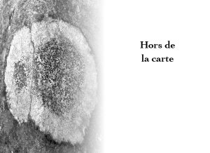 Extrait du livre Aurores des lichens de Gérard Freitag, Genre : poésie. Photographie : Olivier Klencklen. Éditions du Tourneciel. Maquette : naissancedelencre.eu